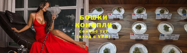 стафф Приозерск