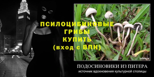 мяу мяу мука Балабаново